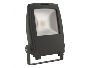 Kanlux 18482 RINDO LED MCOB-50-GM Reflektor LED MCOB DOPRODEJ