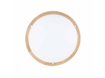 Spotlight LED stropní svítidlo 4753274 FRIDA