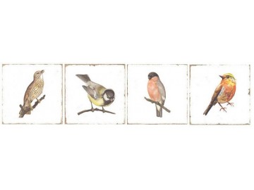 Sapho FORLI Birds Decor Mix 20X20 a