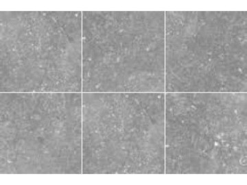 Sapho CORALSTONE Grey 20x20 (EQ-3) (bal.= 1 m2)