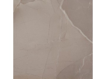 Sapho PASSION LUX 60 Taupe 60x60 (bal=1,08m2)