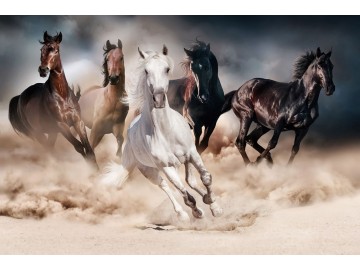 Skleněný obraz HORSE 120x80 cm Skleněný obraz HORSE 120x80 cm