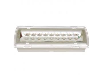 Ecolite  TL507L-LED Nouzové svítidlo LEDER 2, SMD ,Ni-Cd, 1-3 hod, 60lm, 5000K