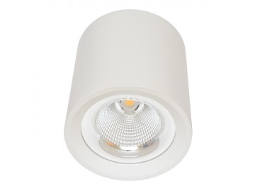 Ecolite  MZ-DL-30W/BI Svítidlo přisazené EFECT, COB, 30W, 4100K, bílé