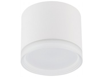 Nowodvorski Lighting Stropní přisazené svítidlo 10476 SILBA WH CG